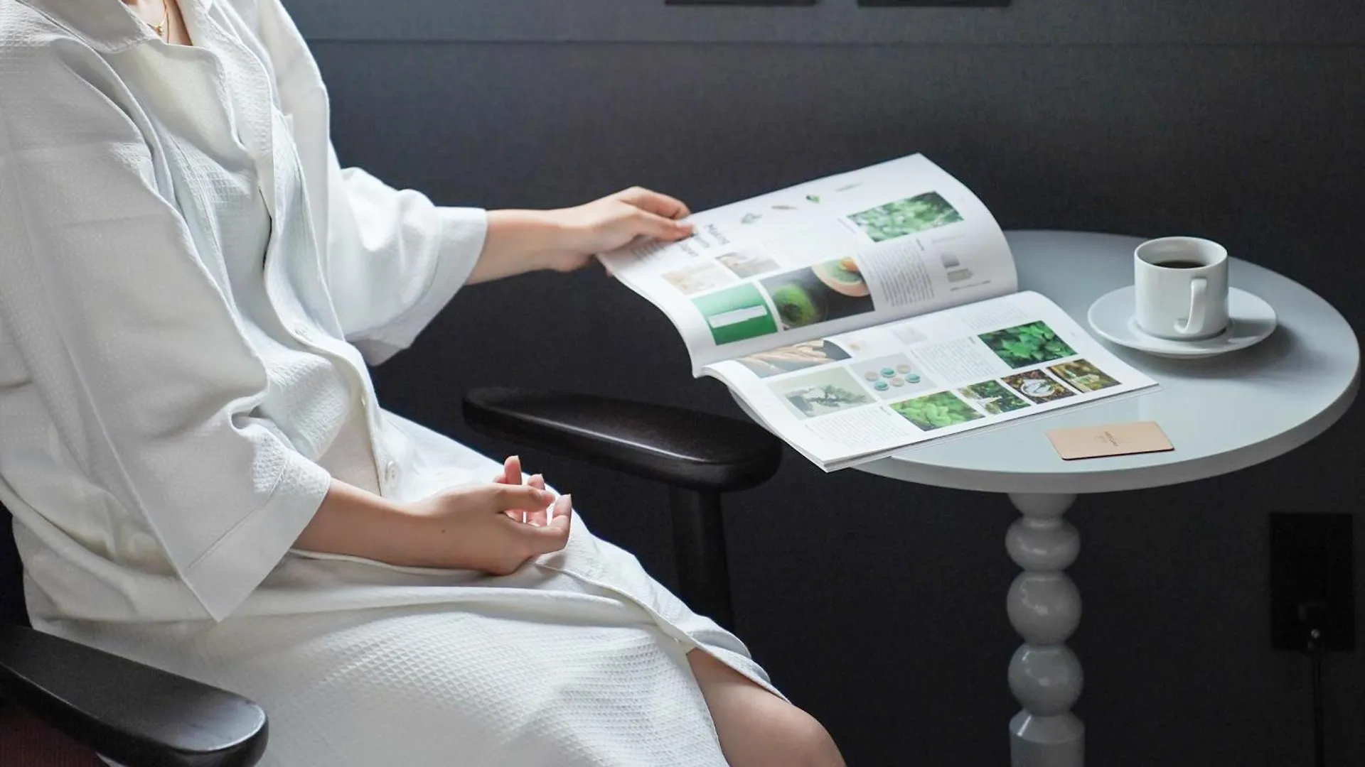 Mercure Tokyo Ginza Hotel